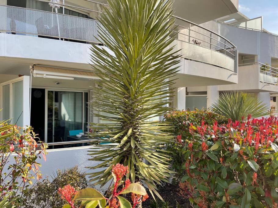 21 - Tres Agreable Rdc Avec Terrasse Et Parking Apartment Bandol Exterior photo